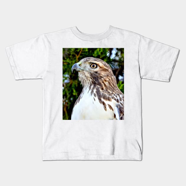 Red Tailed Hawk Kids T-Shirt by Scubagirlamy